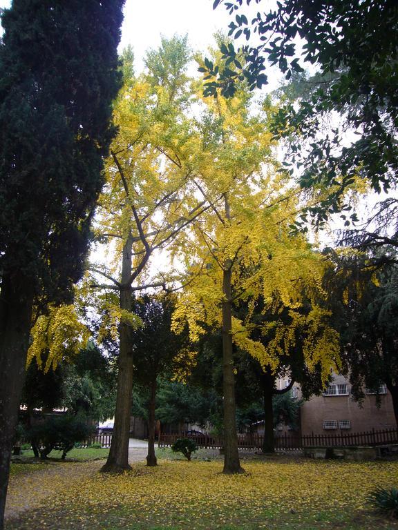 Villa Altieri Albano Laziale Dış mekan fotoğraf