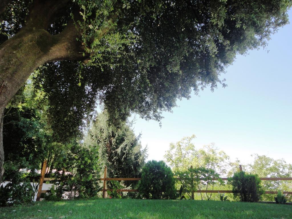 Villa Altieri Albano Laziale Dış mekan fotoğraf